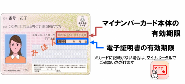 マイナンバーカード有効期限記載場所